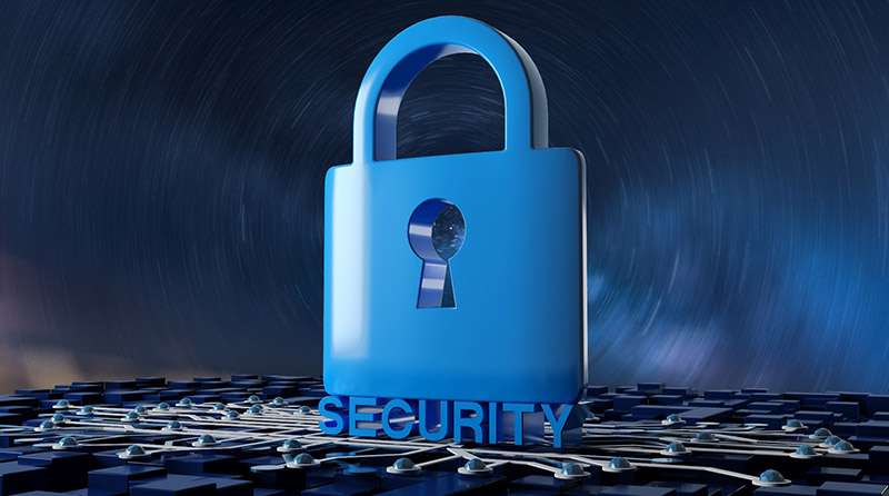 公司网站建设用什么程序做网站比较更安全