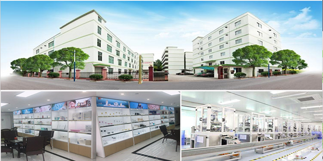 广州市迪笙生物科技有限公司与我司签署网站建设定制服务